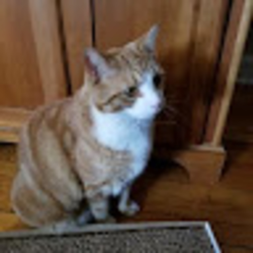 Meet your Posher, Renee